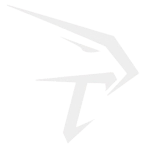 Trade Lords International Logo